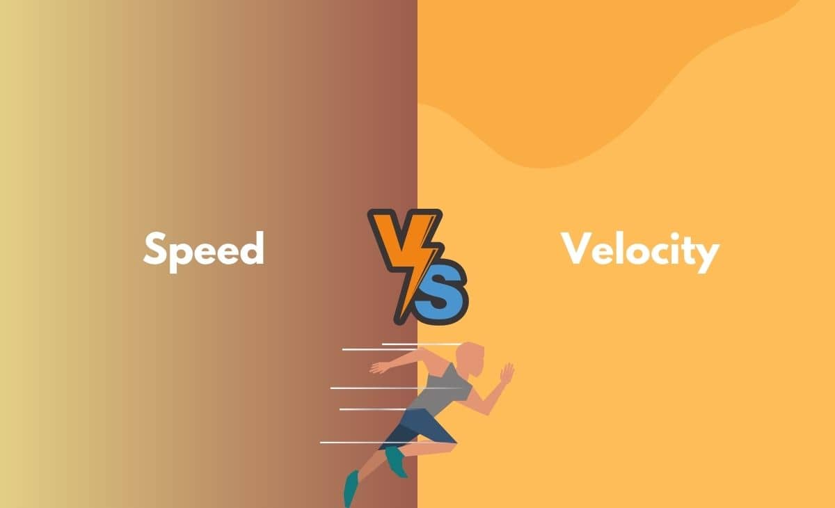 Difference Between Speed and Velocity