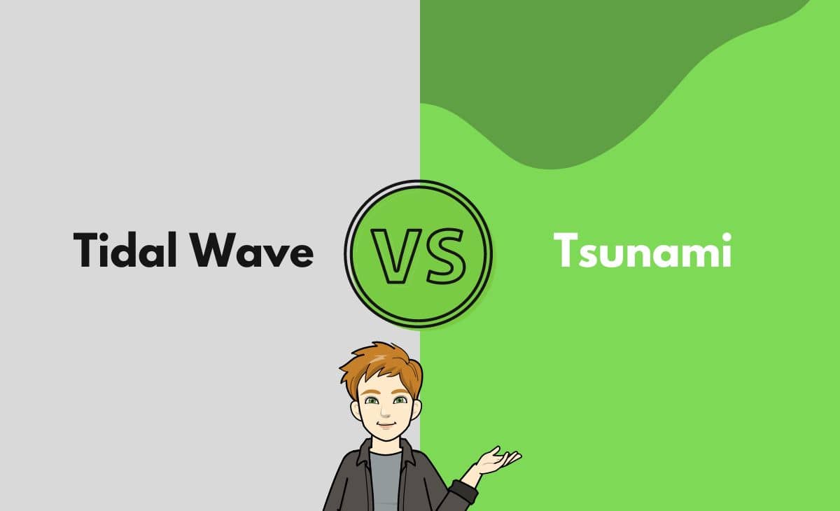 Difference Between Tidal Wave and Tsunami