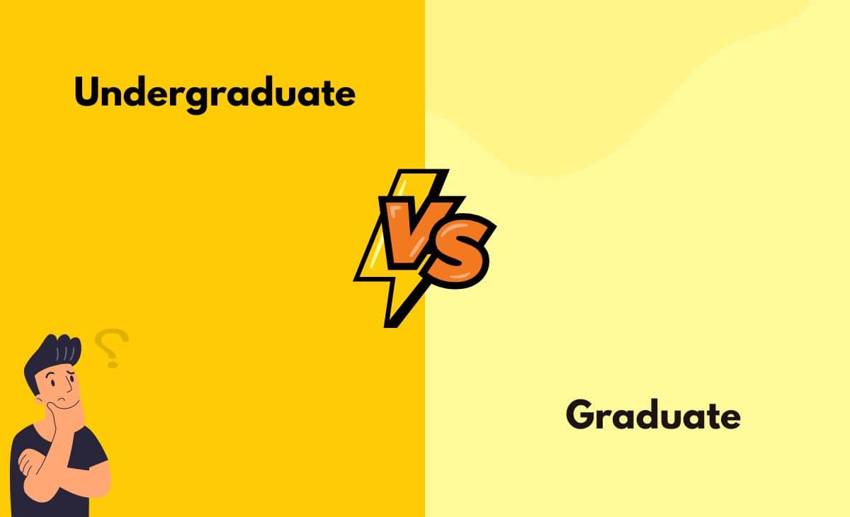 Difference Between Undergraduate and Graduate