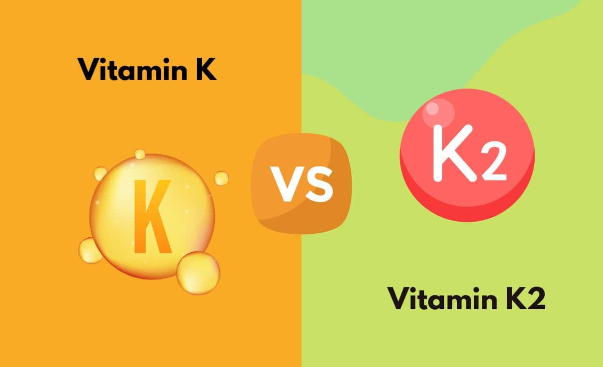 Difference Between Vitamin K and Vitamin K2