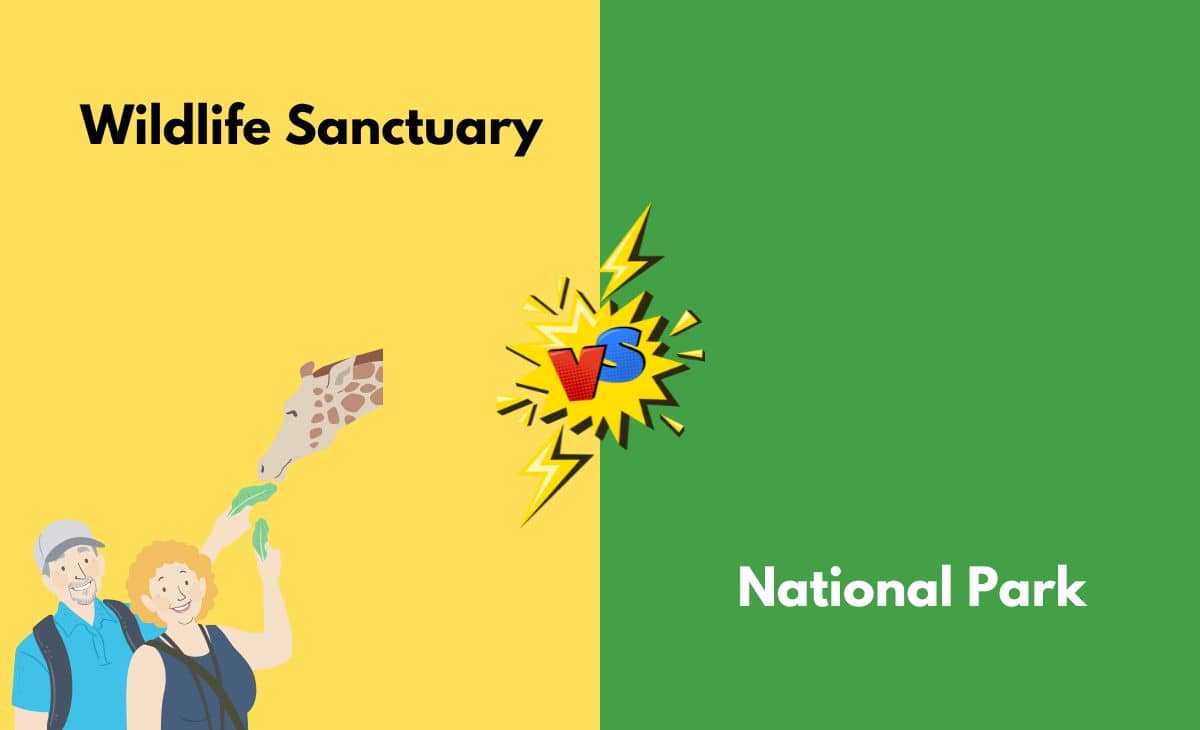 Difference Between Wildlife Sanctuary and National Park