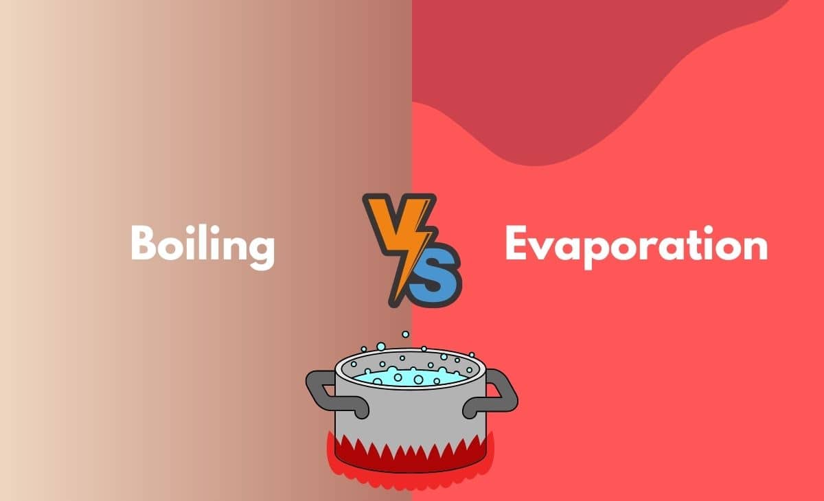 Difference Between Boiling and Evaporation