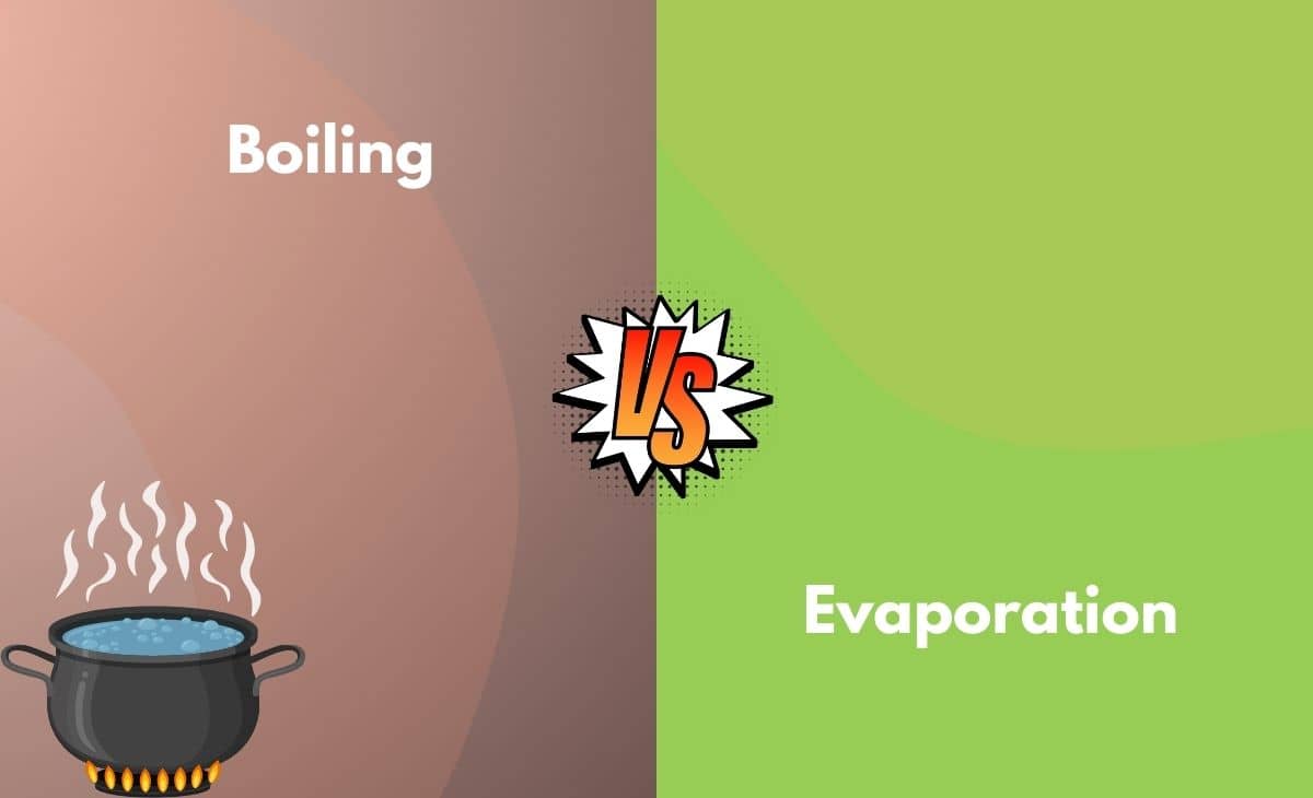 Difference Between Boiling and Evaporation