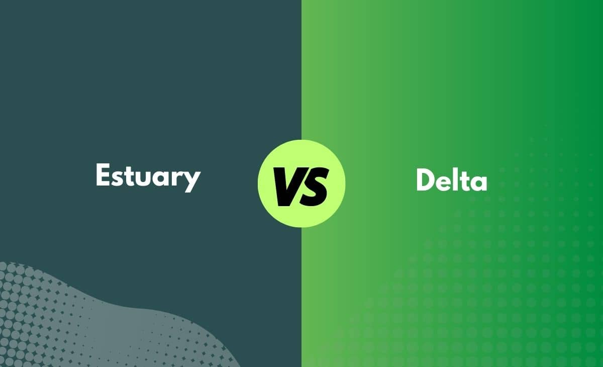 Difference Between Estuary and Delta