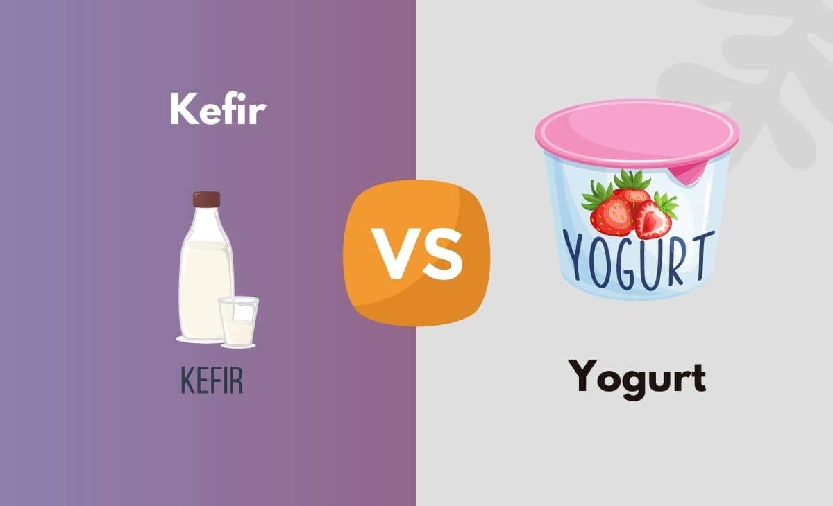 Difference Between Kefir and Yogurt
