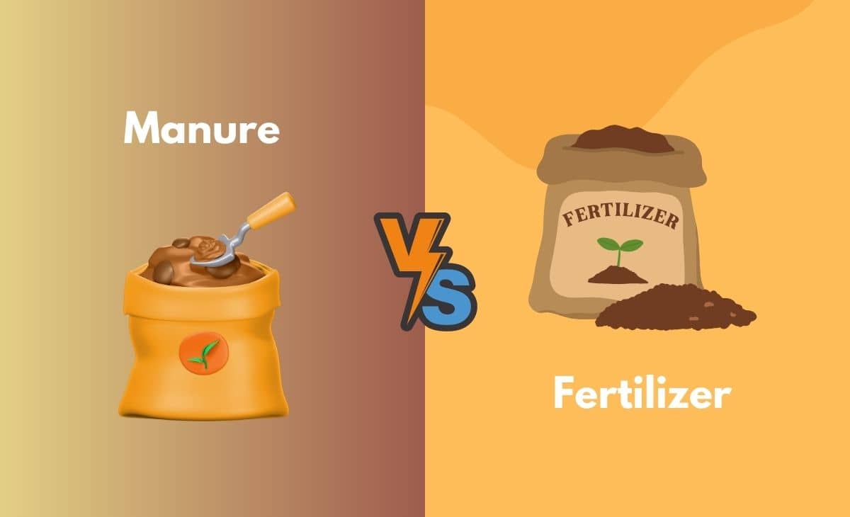 Difference Between Manure and Fertilizer