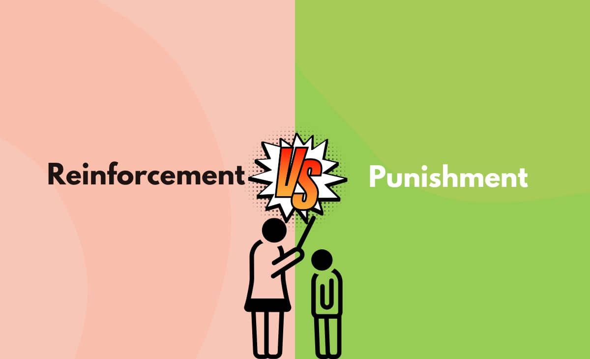 Difference Between Reinforcement and Punishment