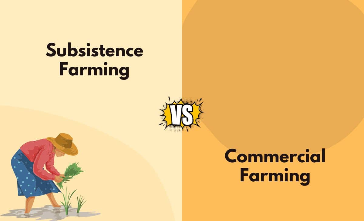 Difference Between Subsistence and Commercial Farming