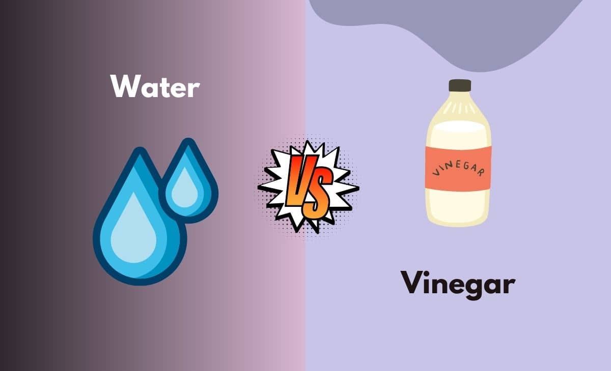 Difference Between Water and Vinegar