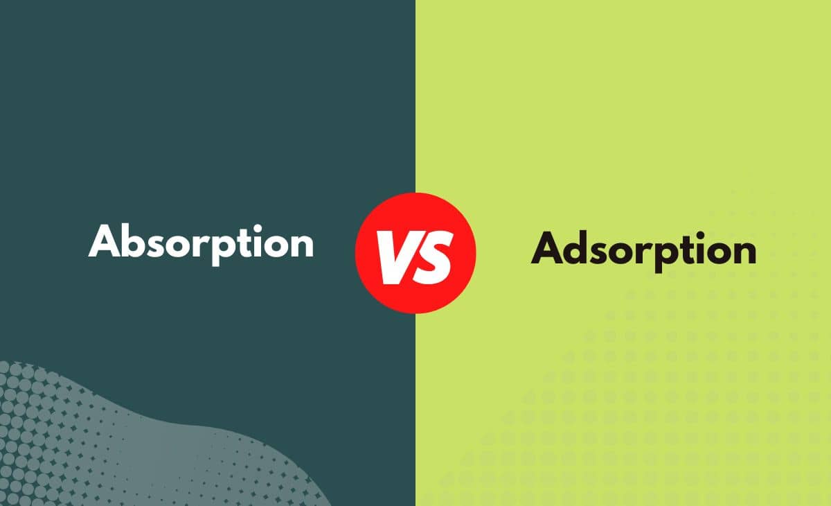 Difference Between Absorption and Adsorption