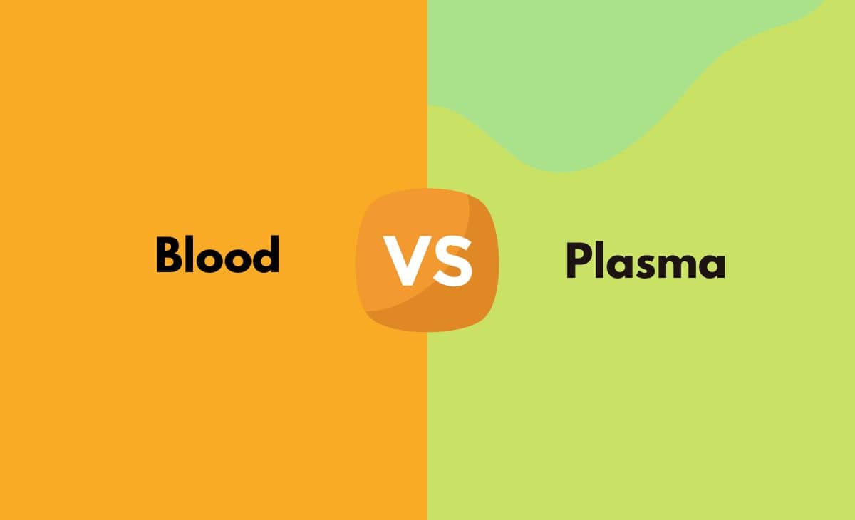 Difference Between Blood and Plasma