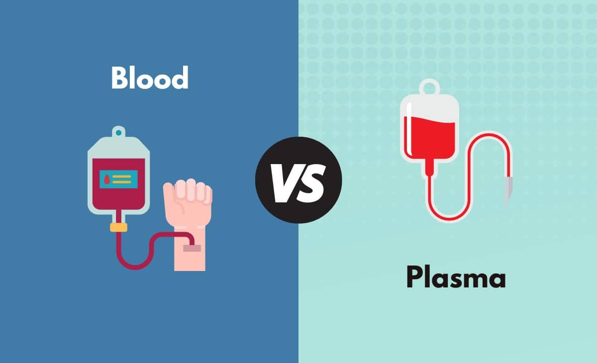 Difference Between Blood and Plasma