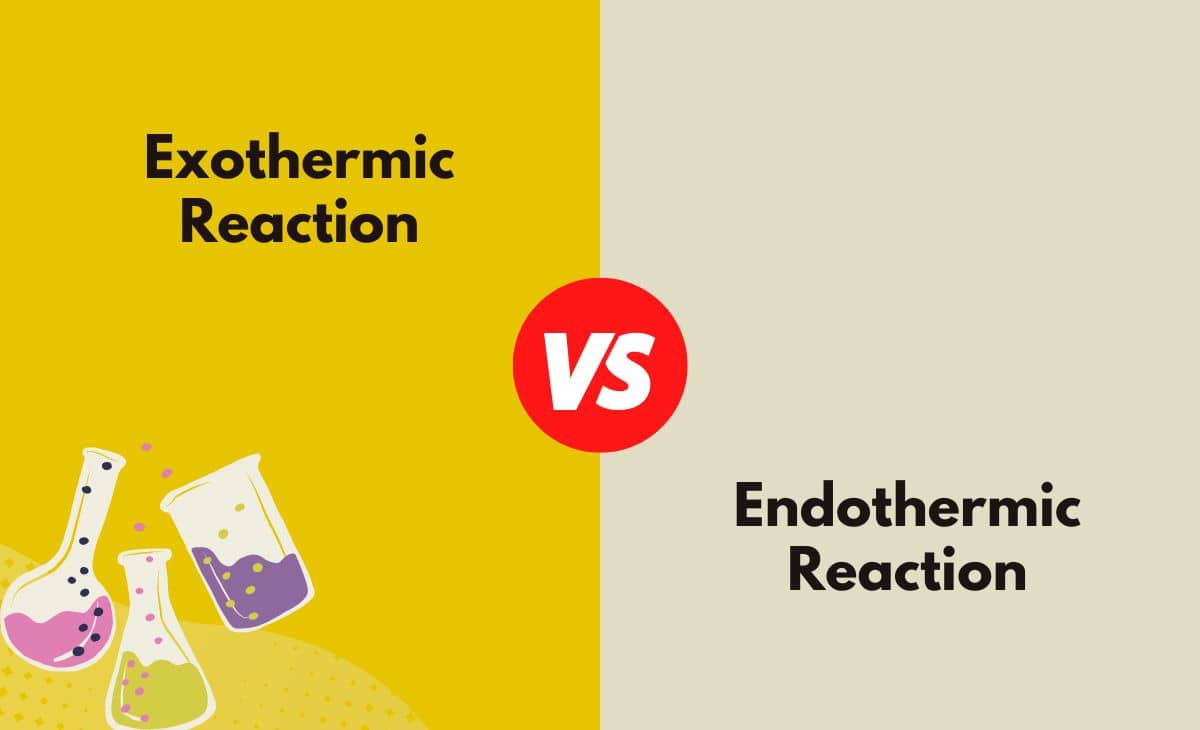 Difference Between Exothermic and Endothermic Reaction
