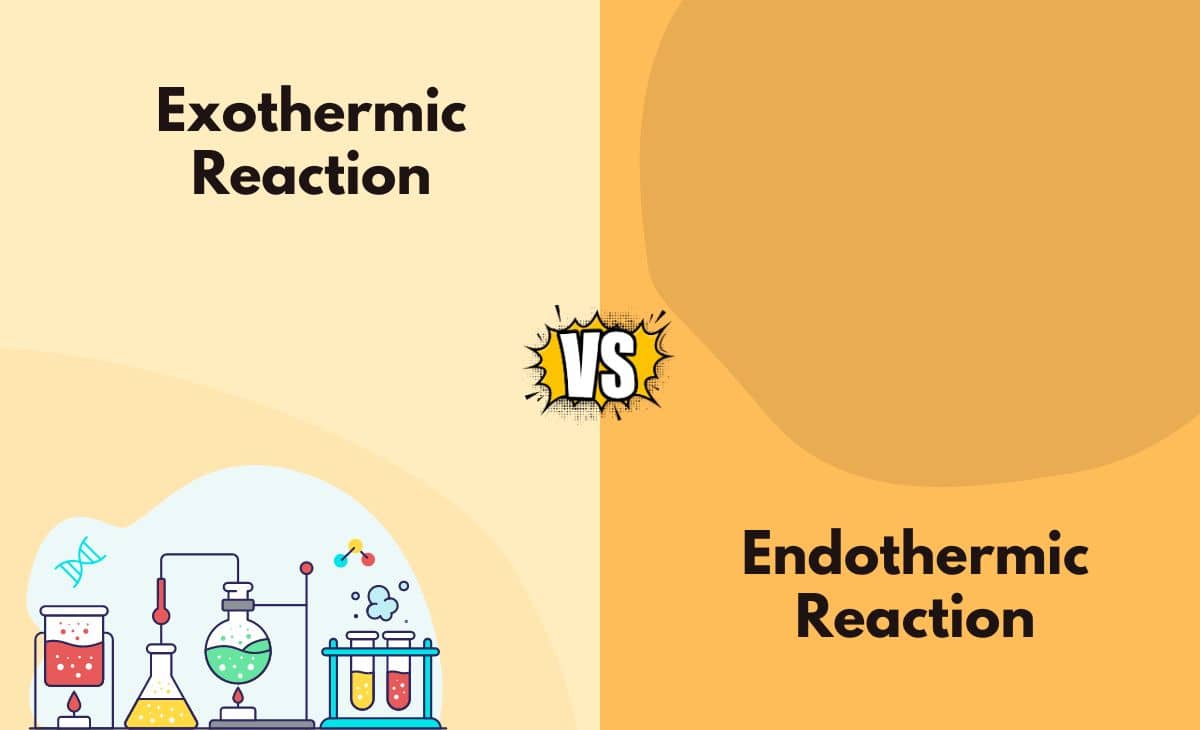 Exothermic vs. Endothermic Reactions - What's the Difference (With Table)