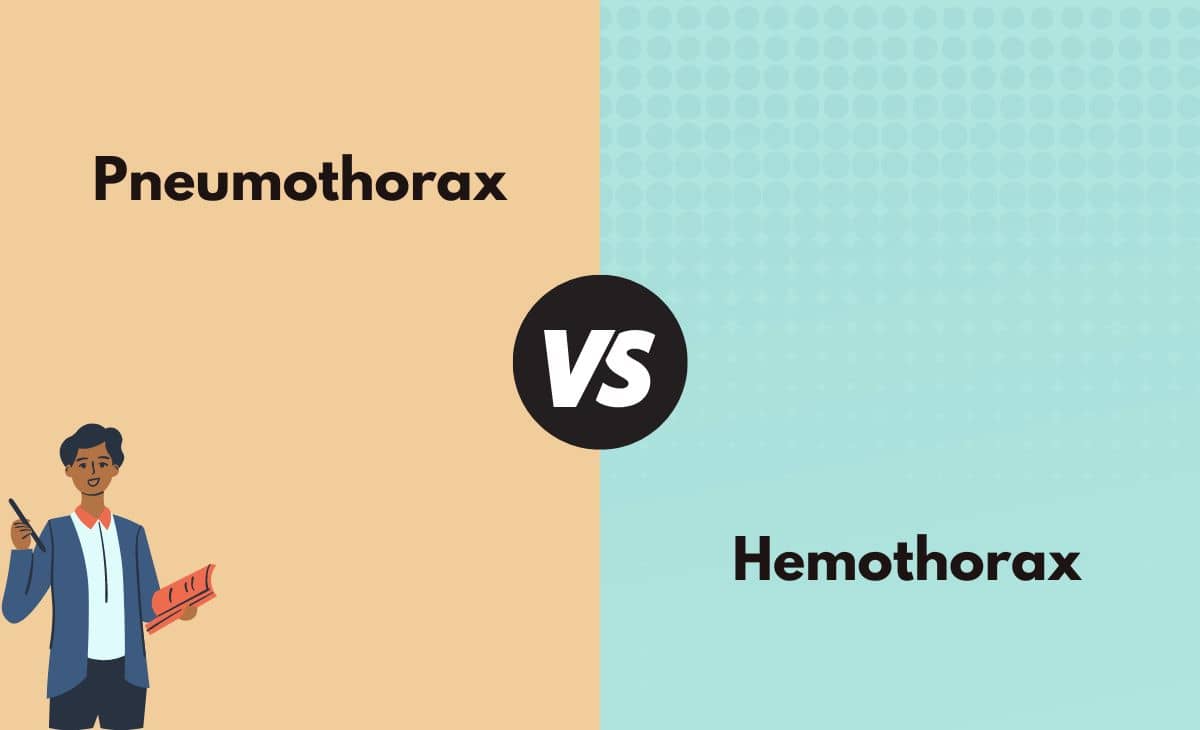 Difference Between Pneumothorax and Hemothorax