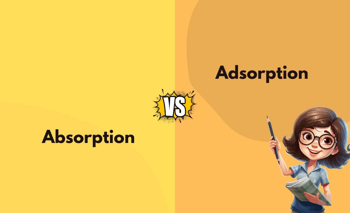 Difference Between Absorption and Adsorption