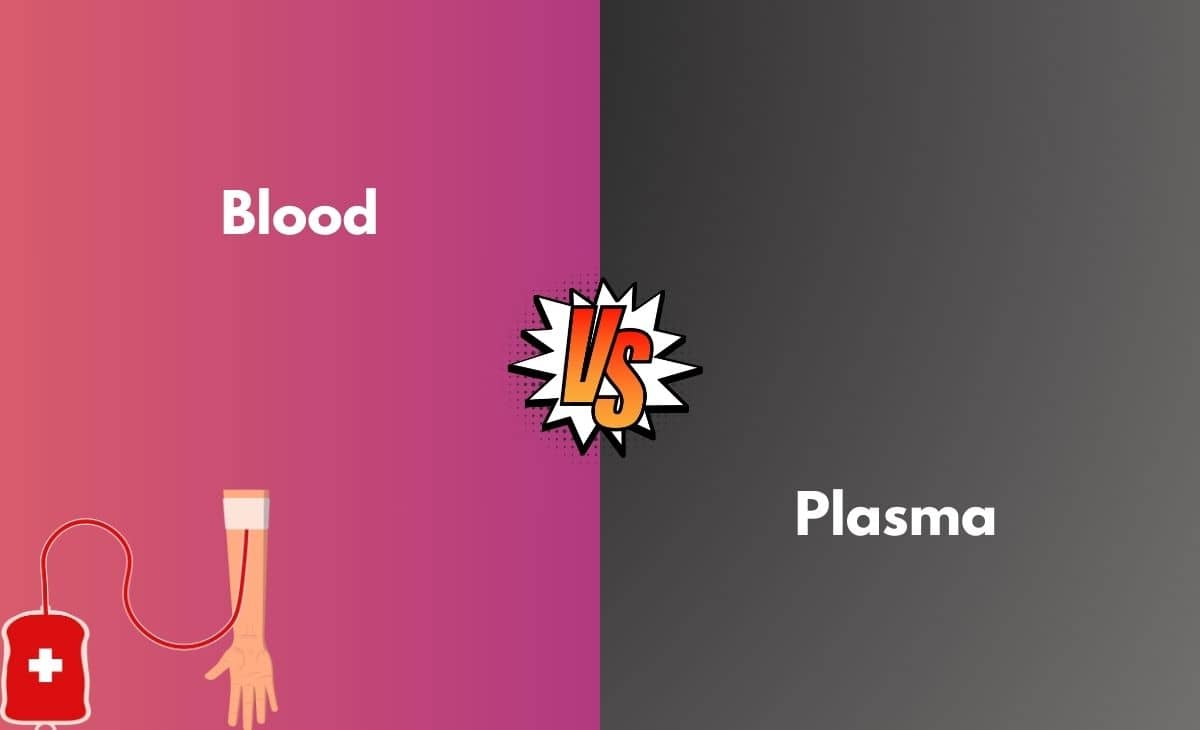 Difference Between Blood and Plasma