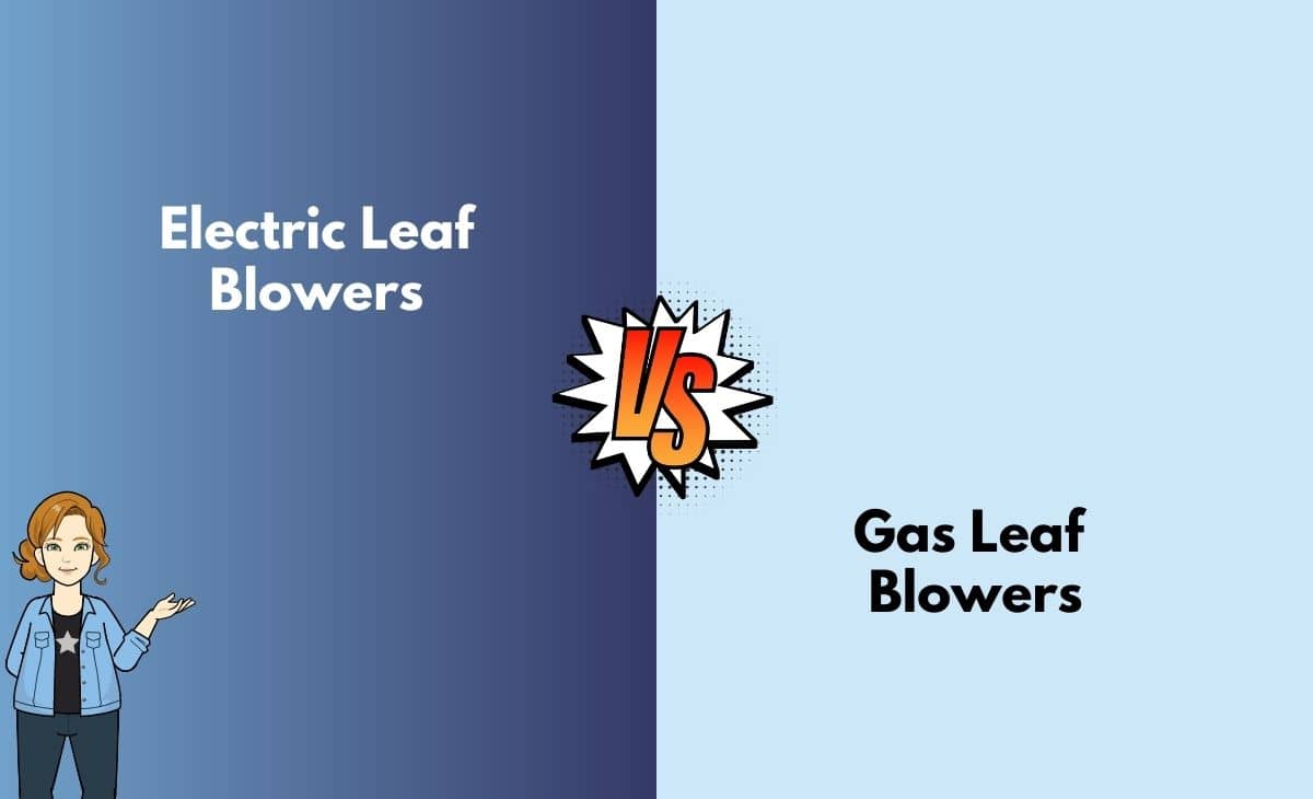 Difference Between Electric and Gas Leaf Blowers