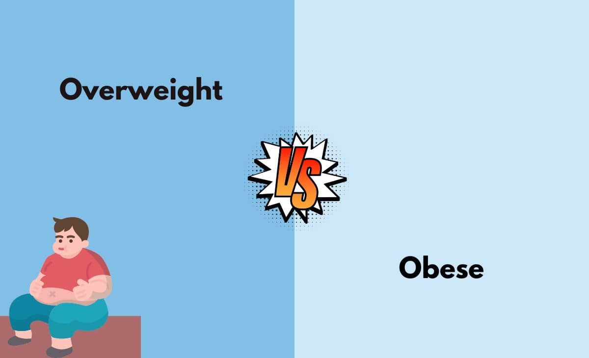 Overweight Vs Obese What s The Difference With Table 