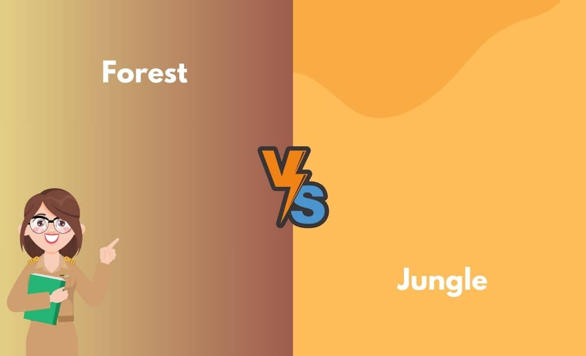 Difference Between Forest and Jungle