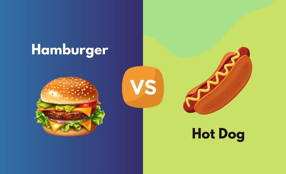 Difference Between Hamburger and Hot Dog