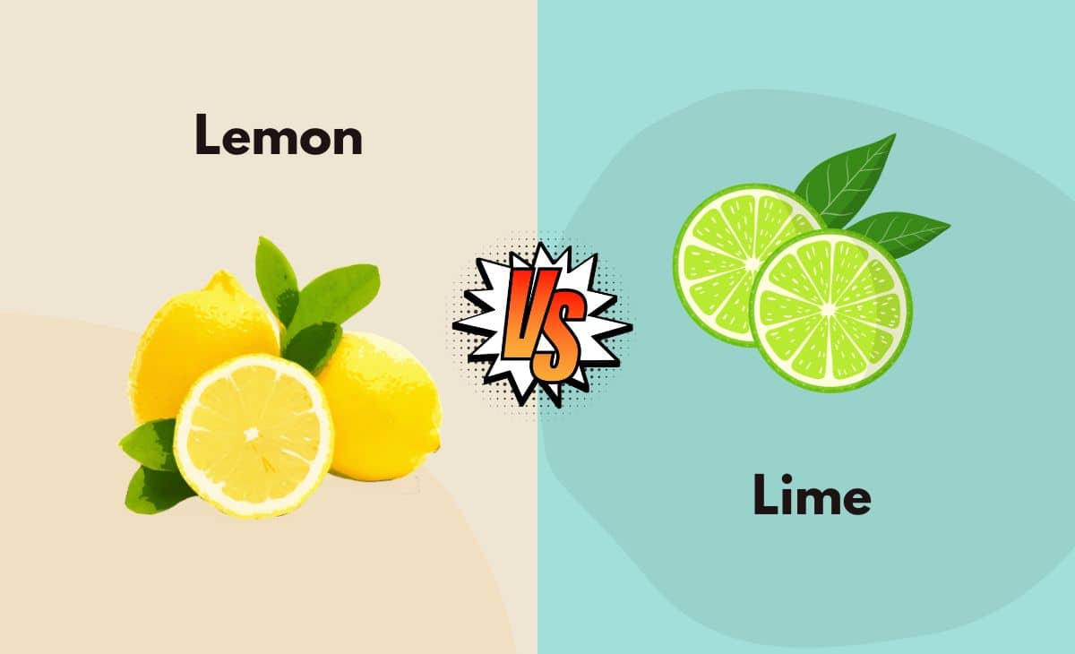Difference Between Lemon and Lime
