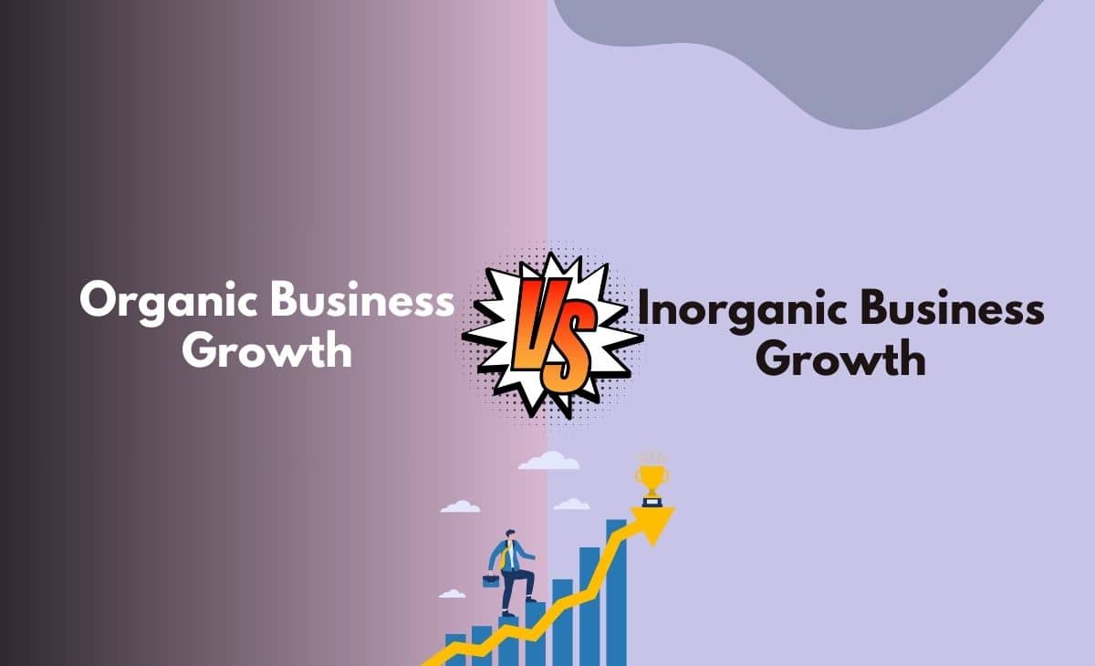 Difference Between Organic and Inorganic Business Growth