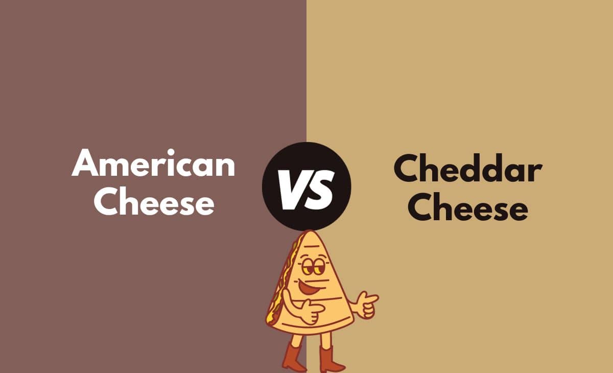 Difference Between American Cheese and Cheddar Cheese