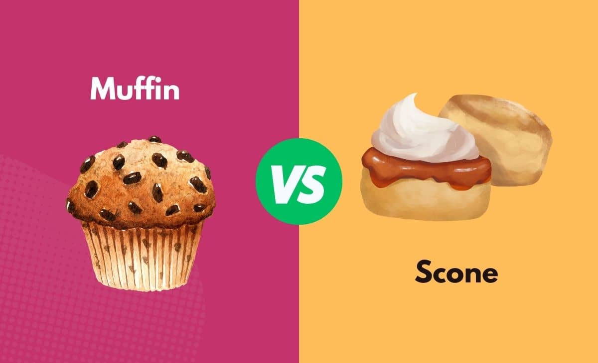 Difference Between Muffin and Scone